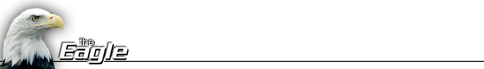 Eagle Logo Small