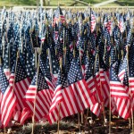 A sea of flags dominate the frame in this landscape image. | Image courtesy of sxc.hu