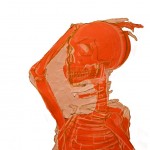 Skeleton Study, a colored pencil piece, by Victoria Lawler's, freshman of Worland, Wyo., hangs in the Main Gallery in Memorial Hall. — Photo by Kinley Q. Nichols
