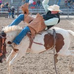 Bareback riding Collin Chytka, sophomore of Broken Bow competes in the Chadron State rodeo, September 2012.—Photos by Ashley Swanson